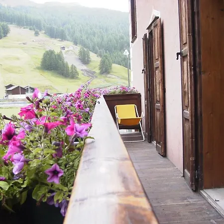 Hotel Adele 3*